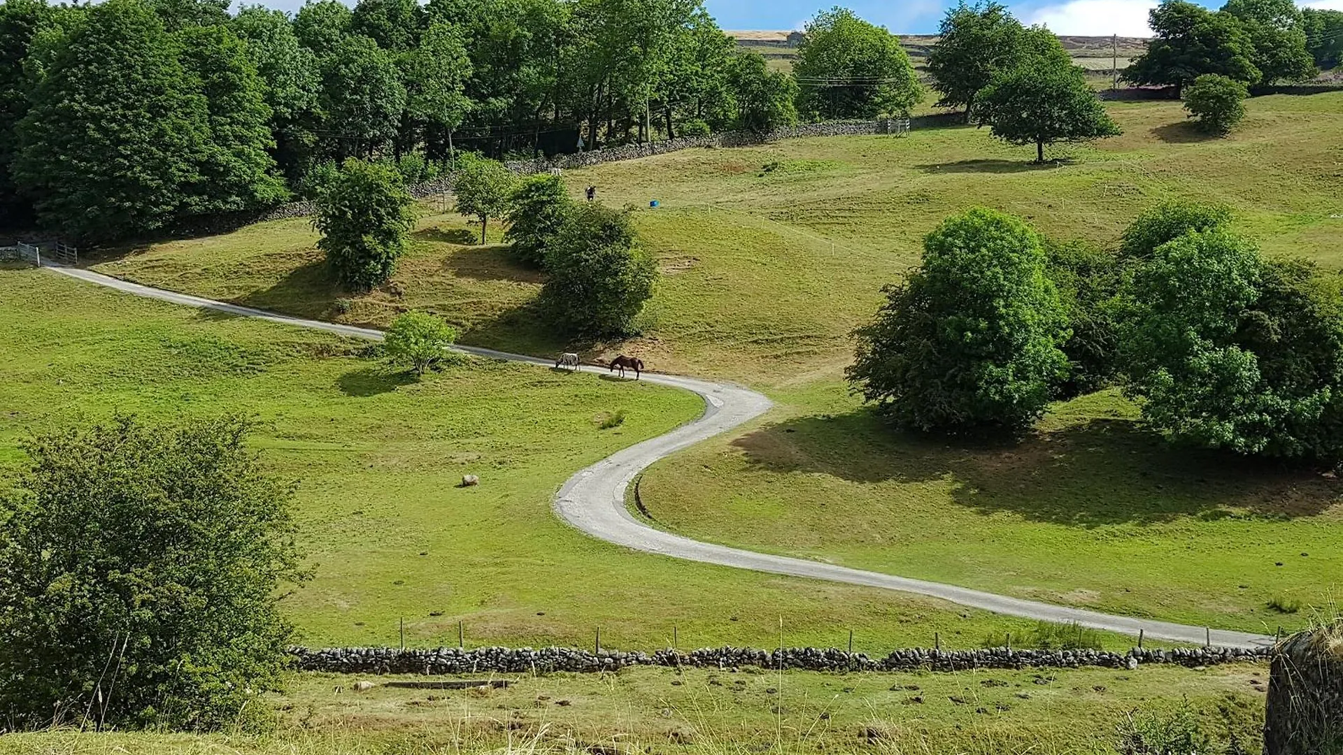 Holiday home Poppy Cottage Hebden United Kingdom